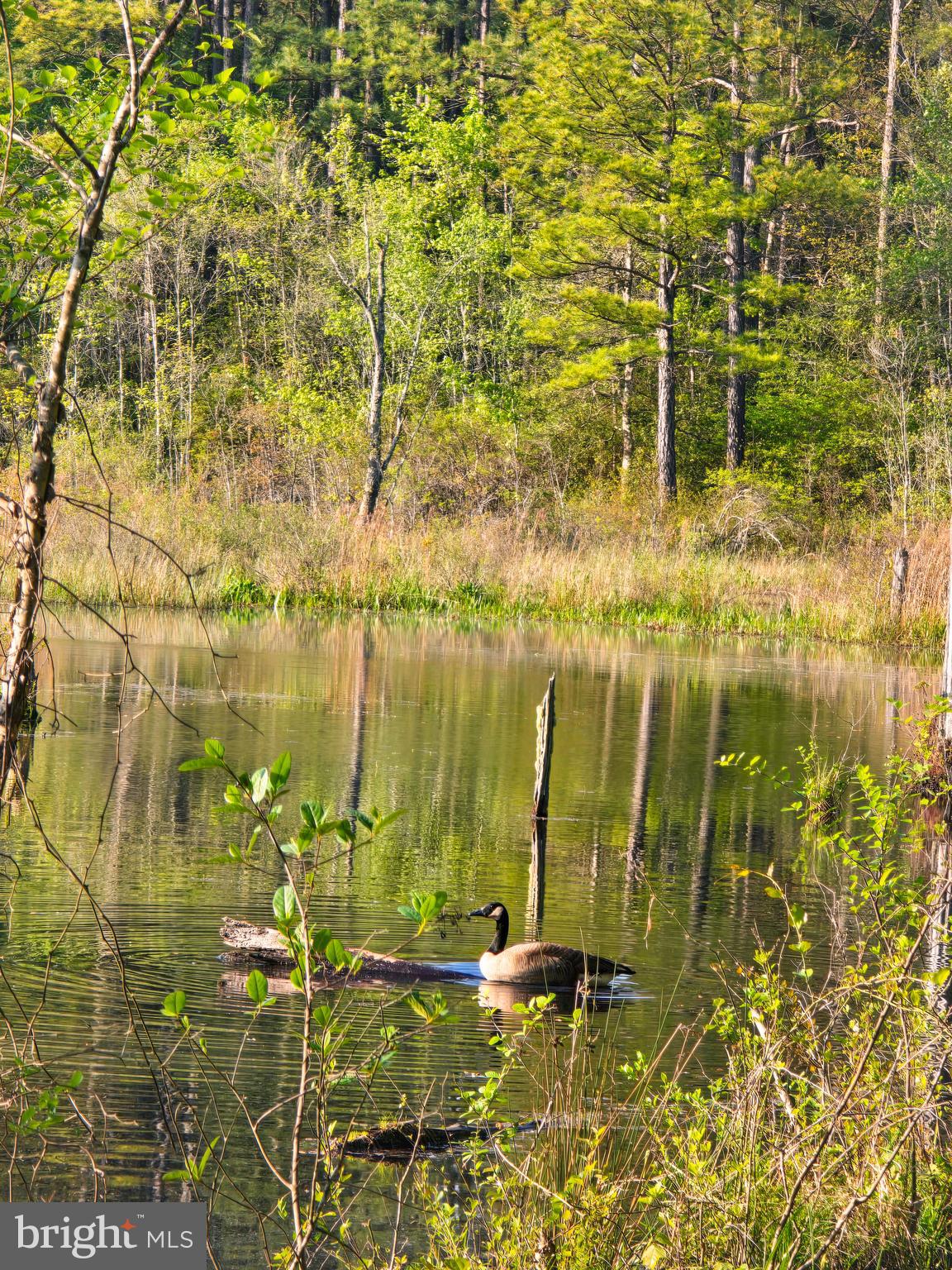 Lot 43A & 34B JENNINGS