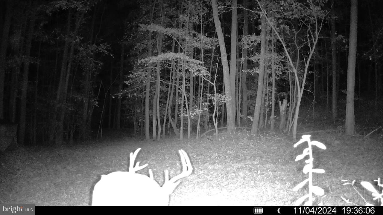 Lot 43A & 34B JENNINGS