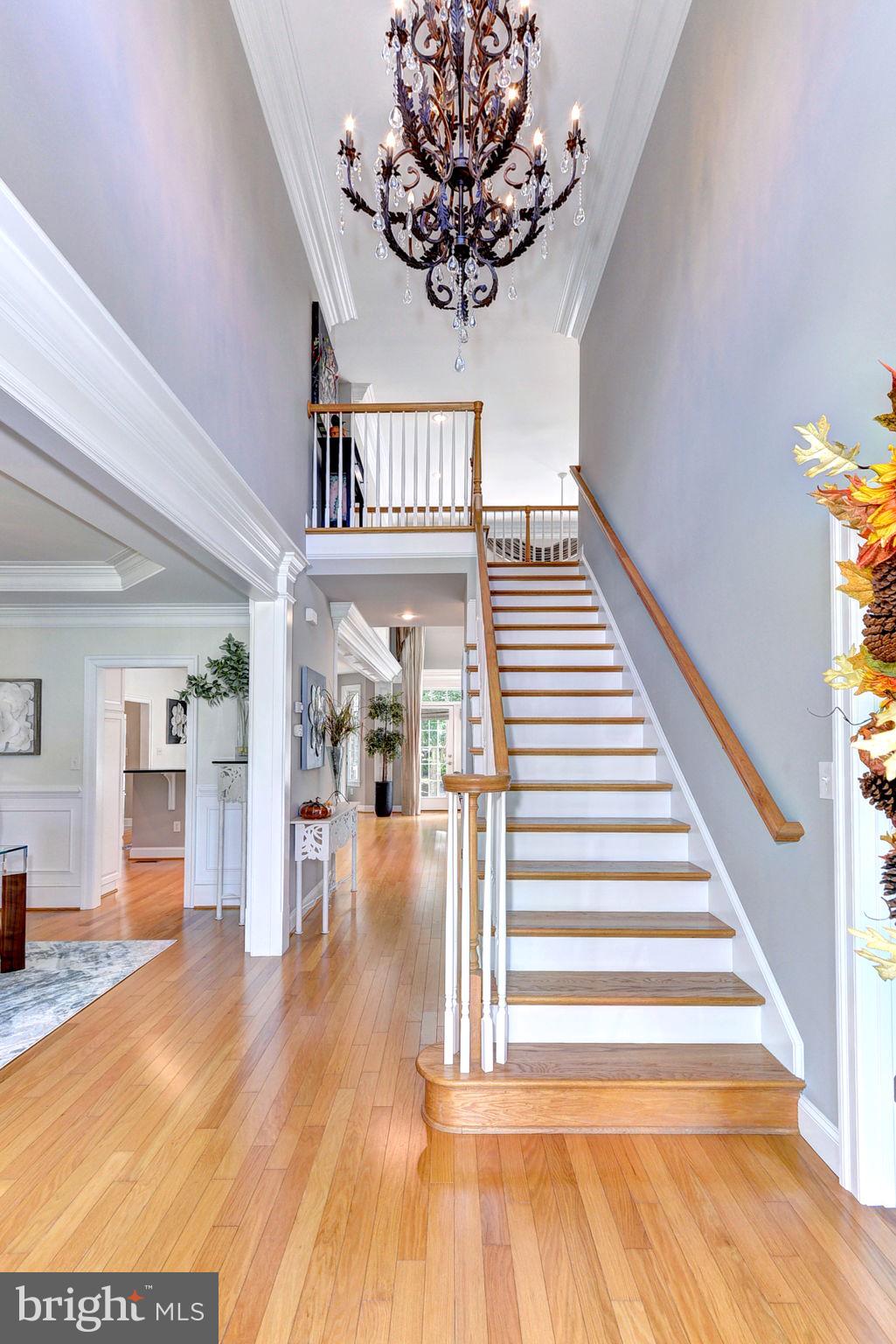 FORD'S COLONY - Residential