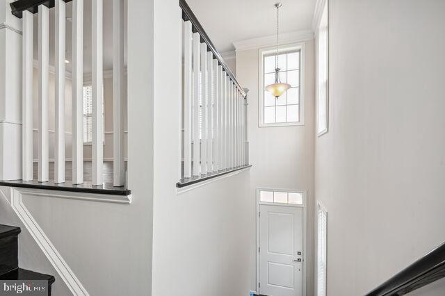 LOUDOUN VALLEY ESTATES - Residential Lease