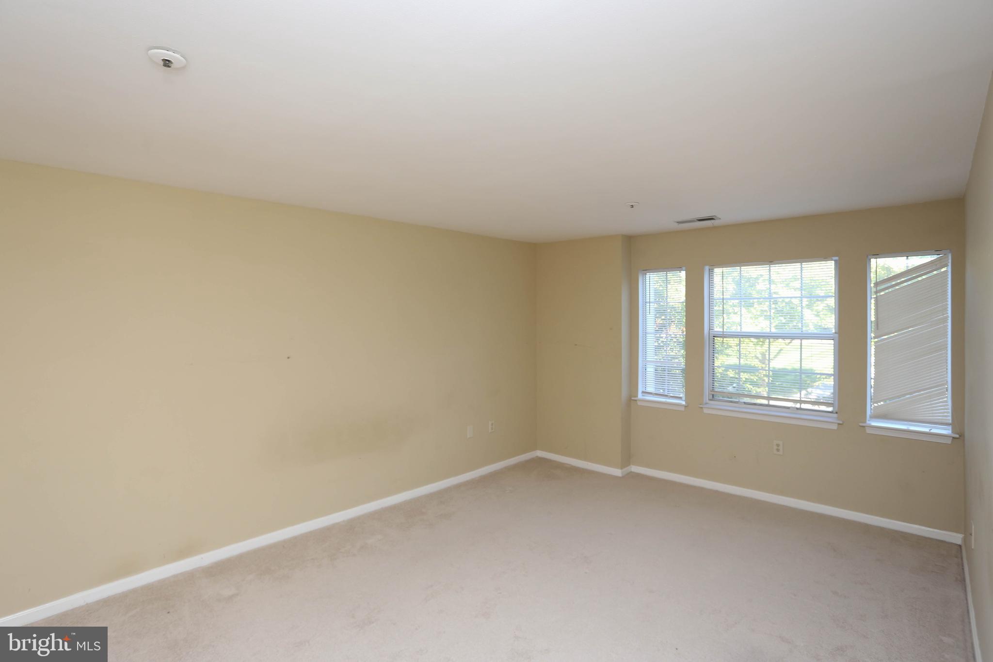 VILLAGE OF MONTGOMERY RUN - Residential