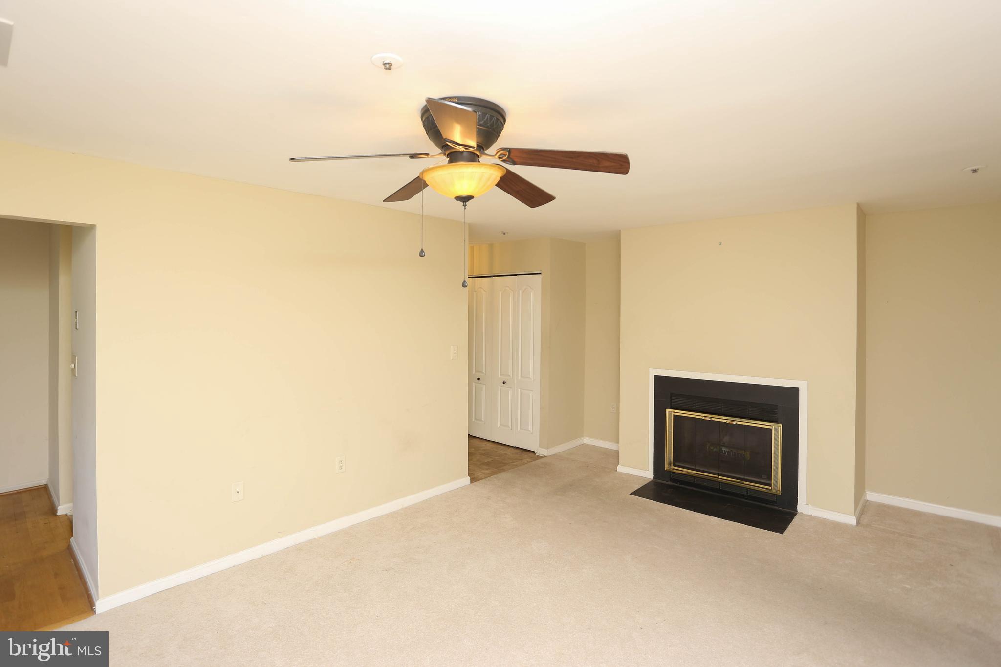 VILLAGE OF MONTGOMERY RUN - Residential