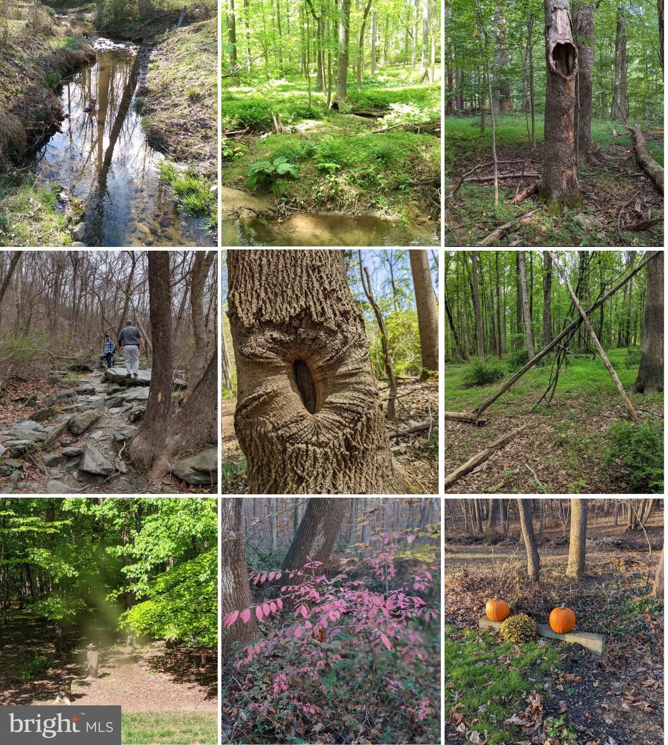 GREENWOOD FARMS - Residential