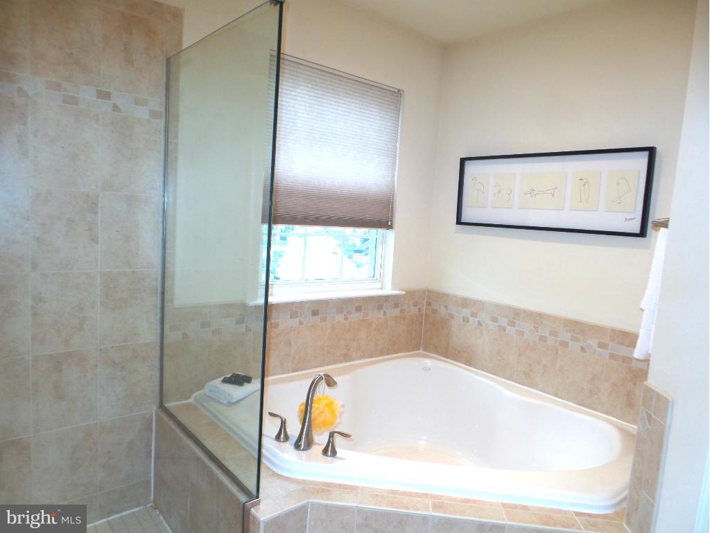 TANYARD SPRINGS - Residential