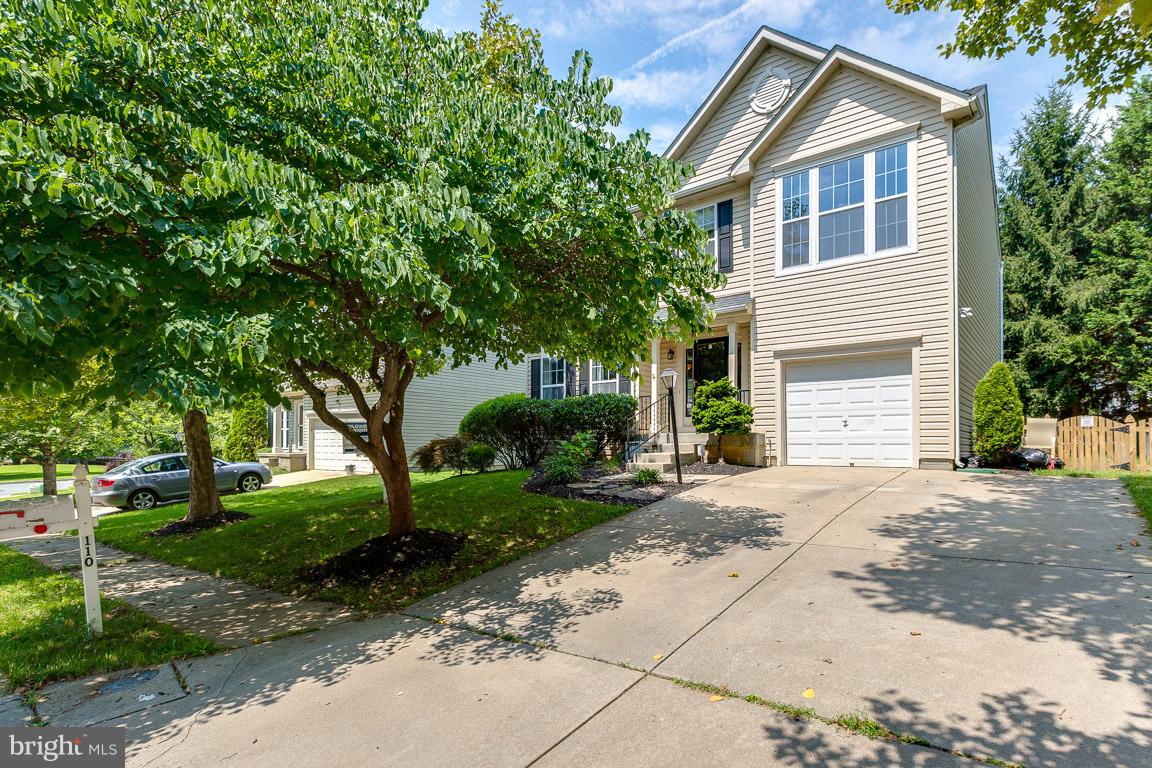 THE COOK - Residential