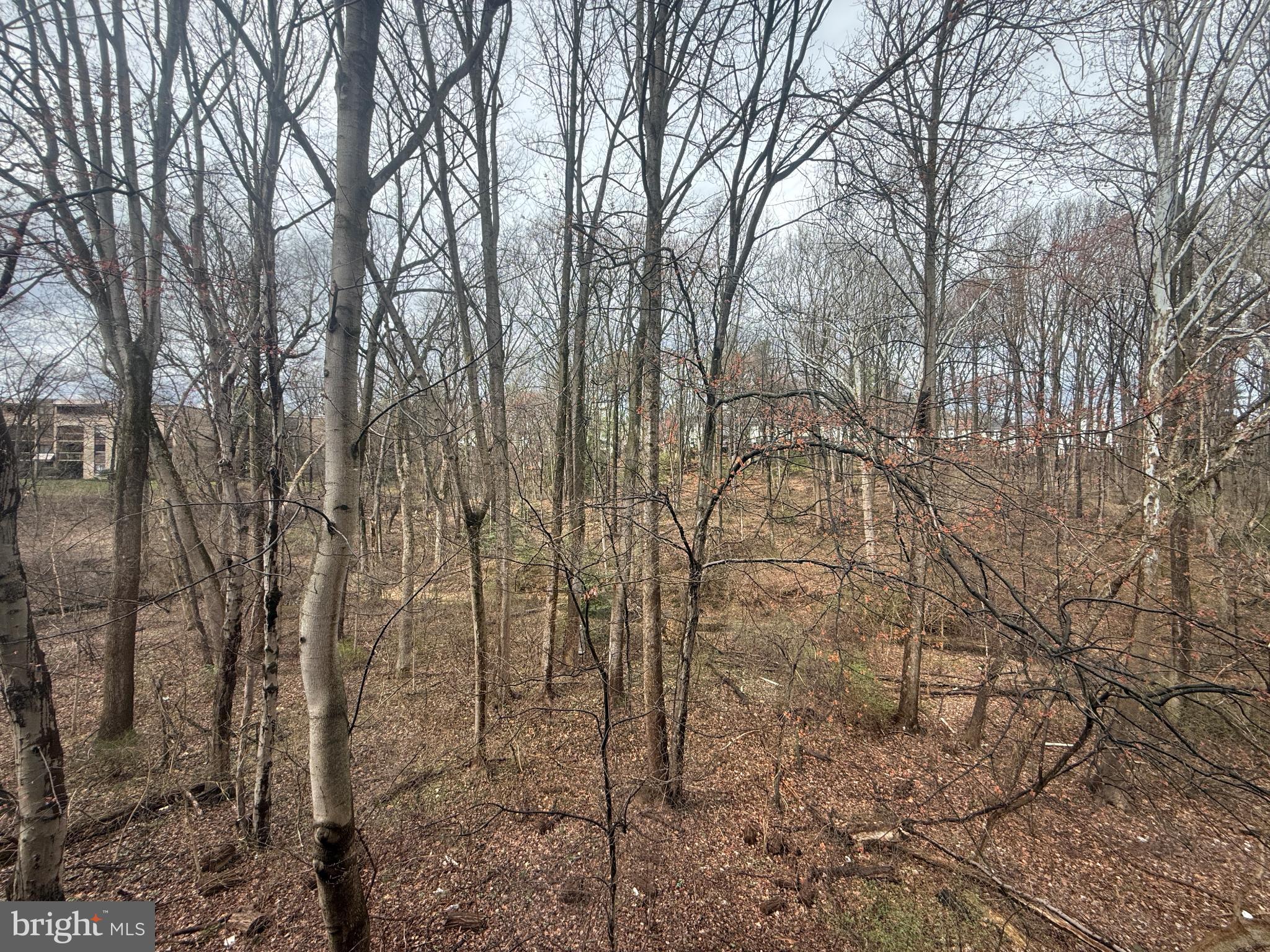 BRECKENRIDGE - Residential