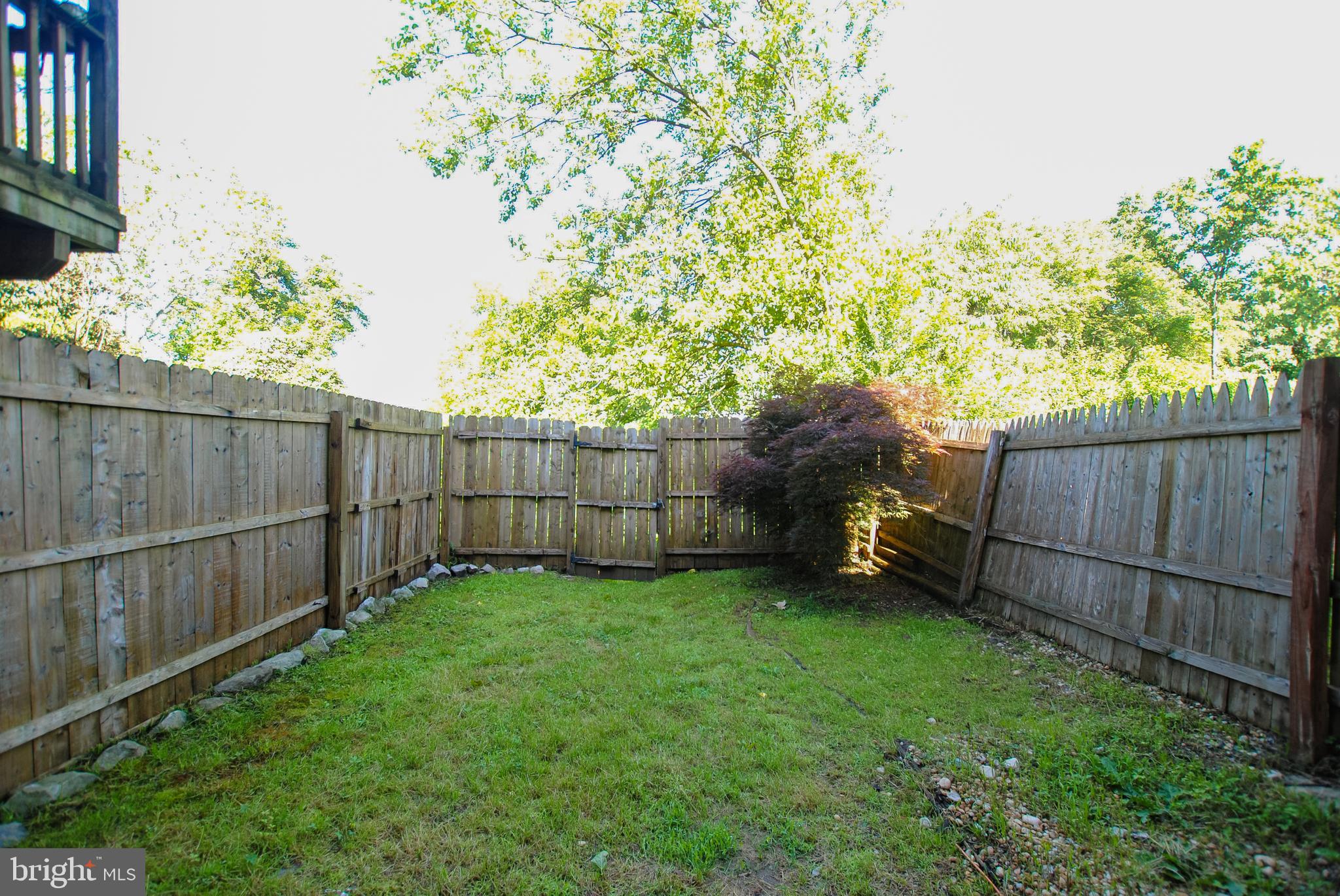 BELMONT - Residential Lease