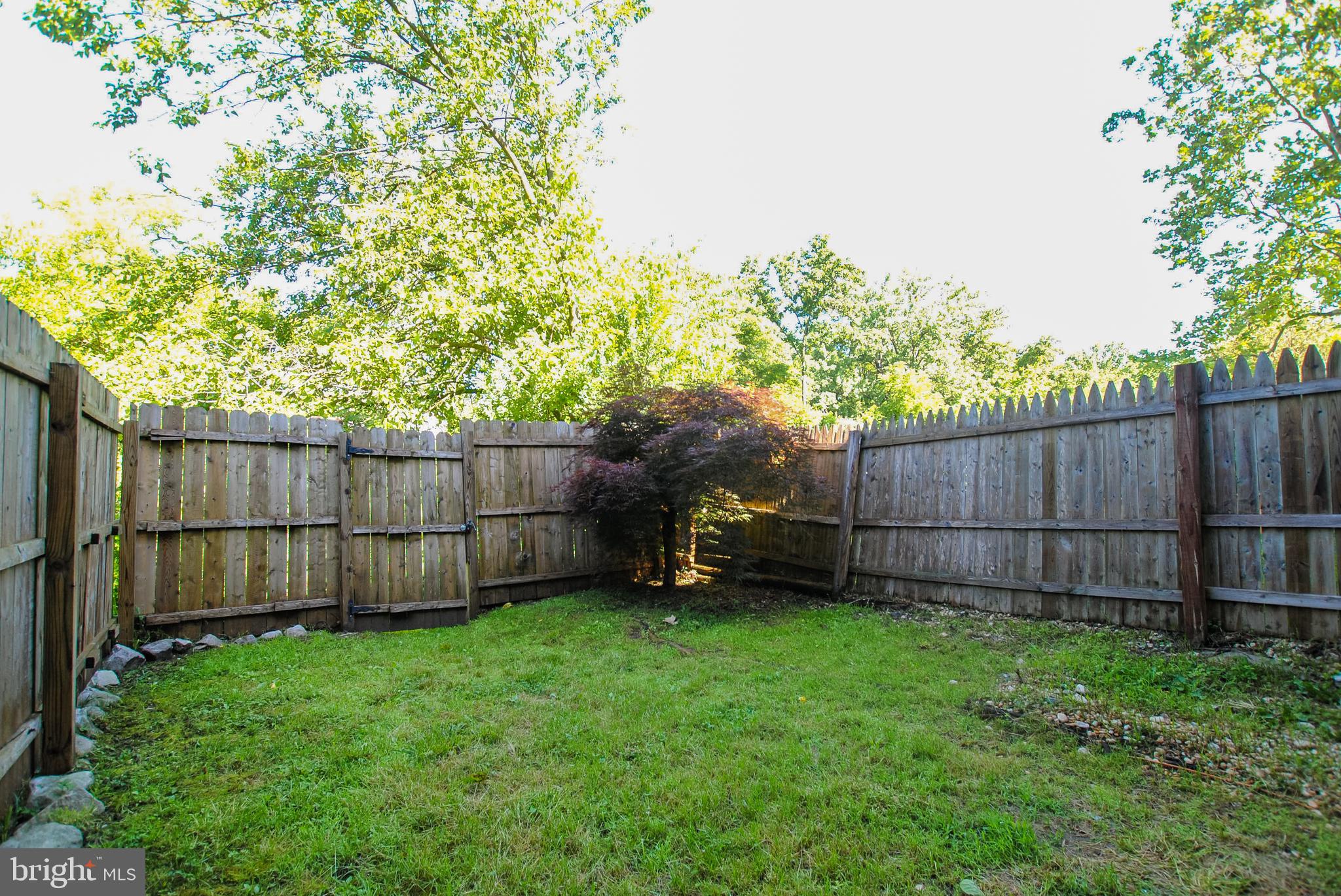 BELMONT - Residential Lease