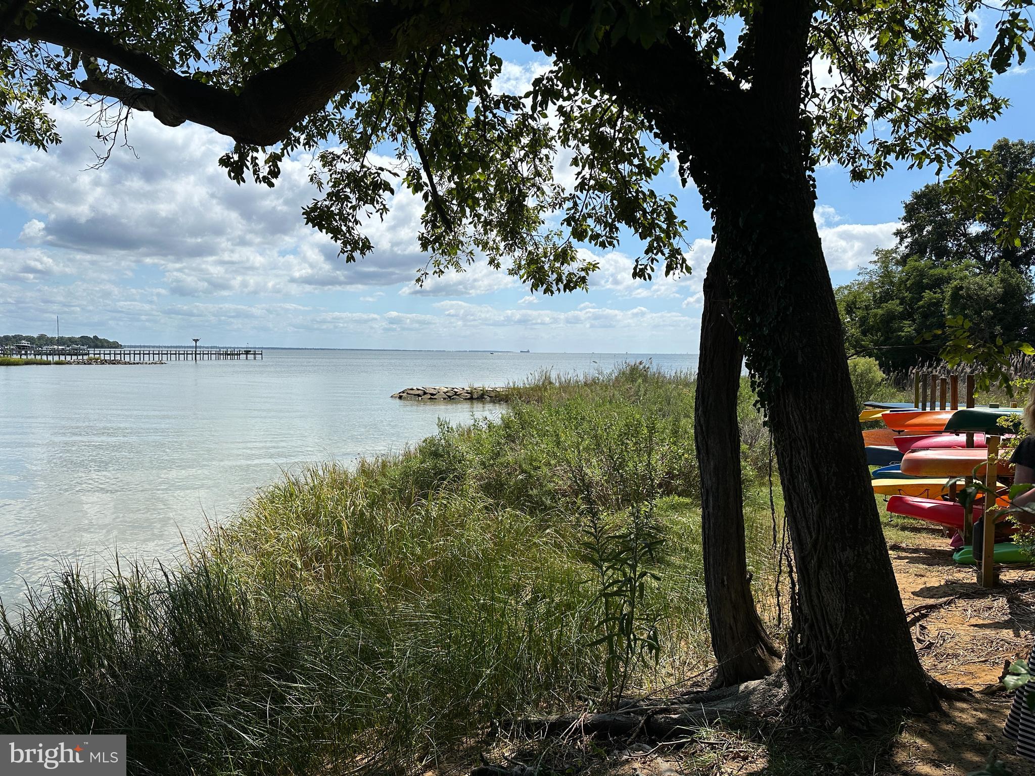 PLEASANT PLAINS - Residential