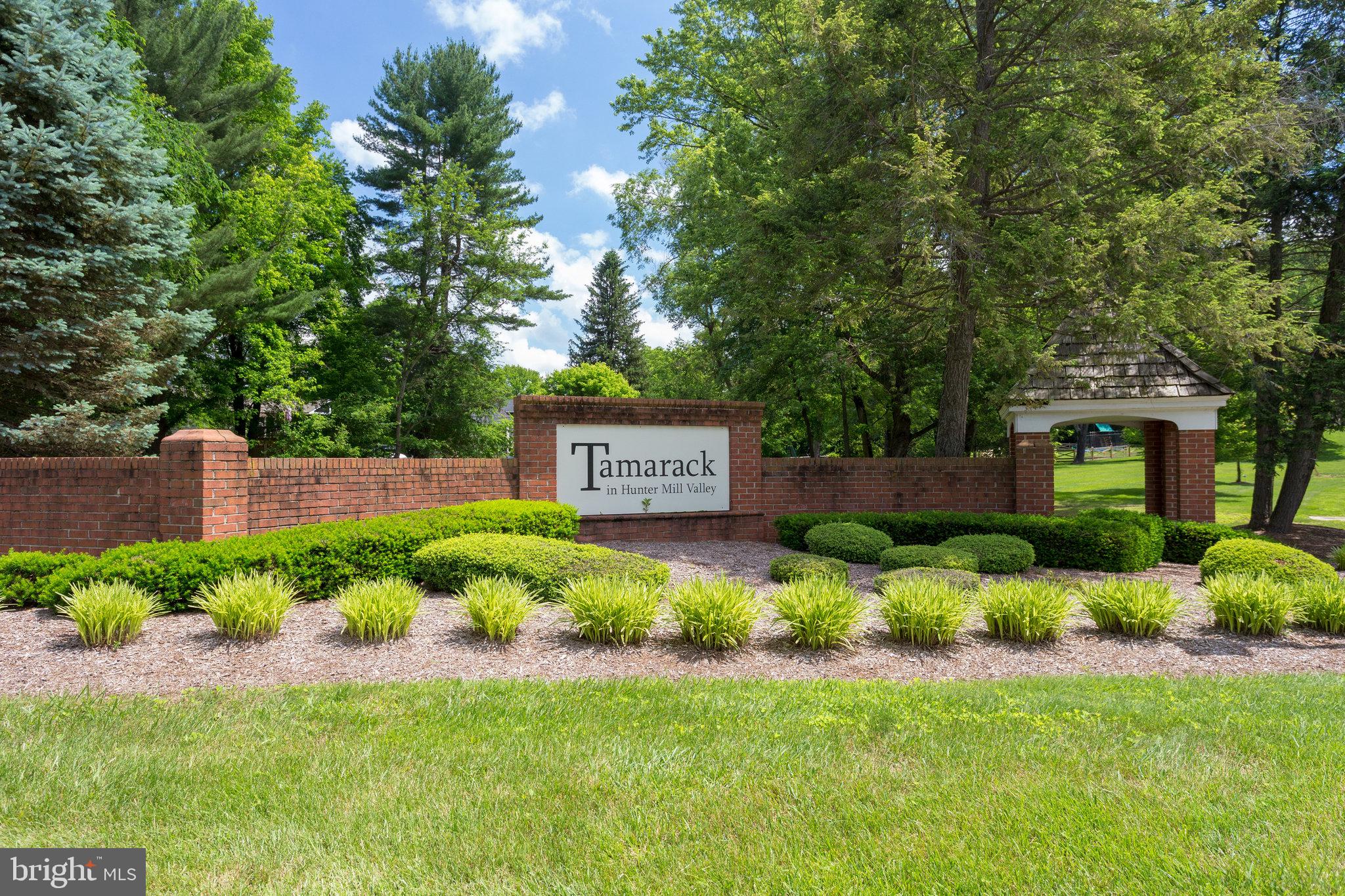TAMARACK - Residential