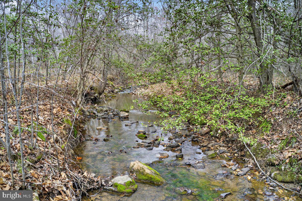 FISHER TRACT - Residential