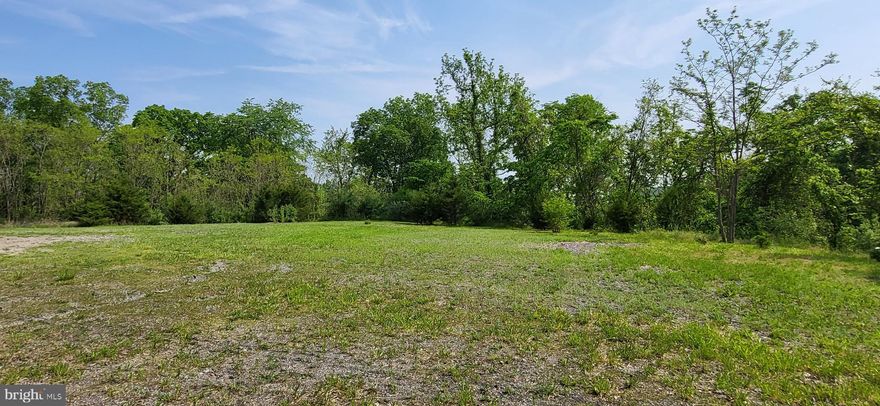 FLAT, CLEARED, EXISTING SEPTIC, READY TO BUILD ON LAND! What more could you ask for? Two lots combined makes for a spacious building lot with a beautiful, usable flat yard, while still having a wooded backyard! Conveniently nestled in the Greenfields subdivision in the small town of Springfield, located between Romney, WV and Cumberland, MD. Approximately only 2-3 miles from multiple public accesses to the South Branch of the Potomac River!