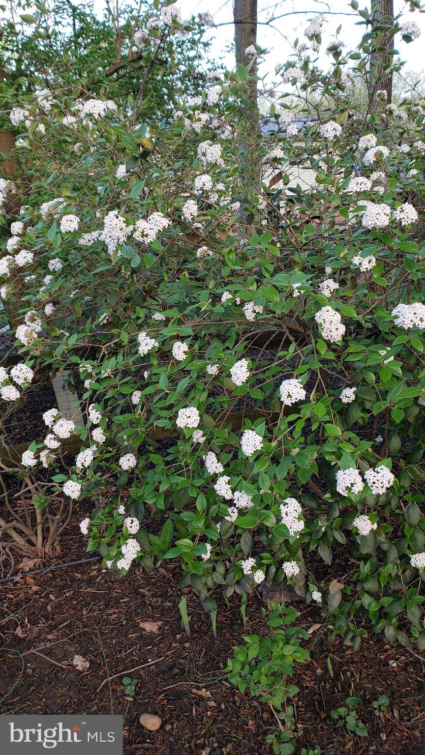 VILLA D ESTE - Residential