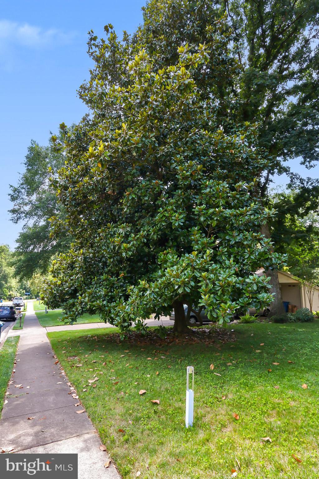 VILLA D ESTE - Residential