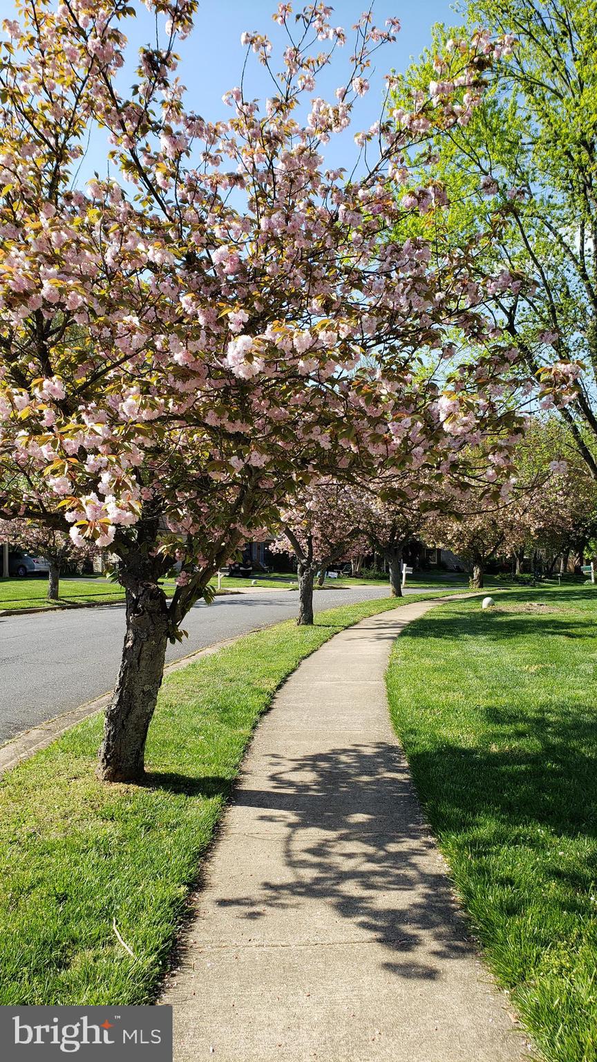 VILLA D ESTE - Residential