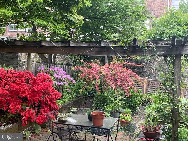 CHESTNUT HILL - Residential