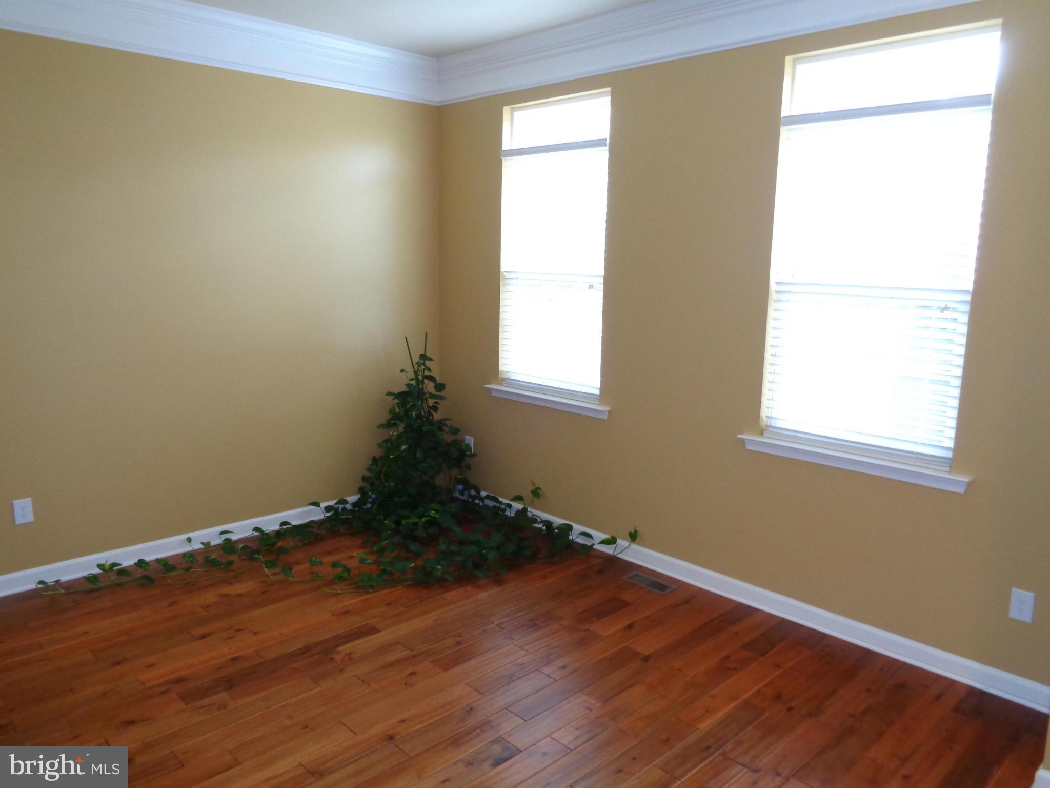 AVALON - Residential Lease