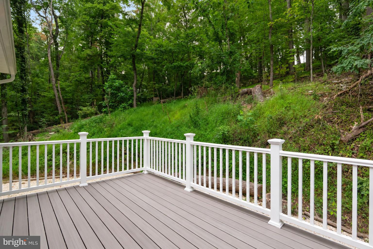 955 SHENANDOAH RIVER