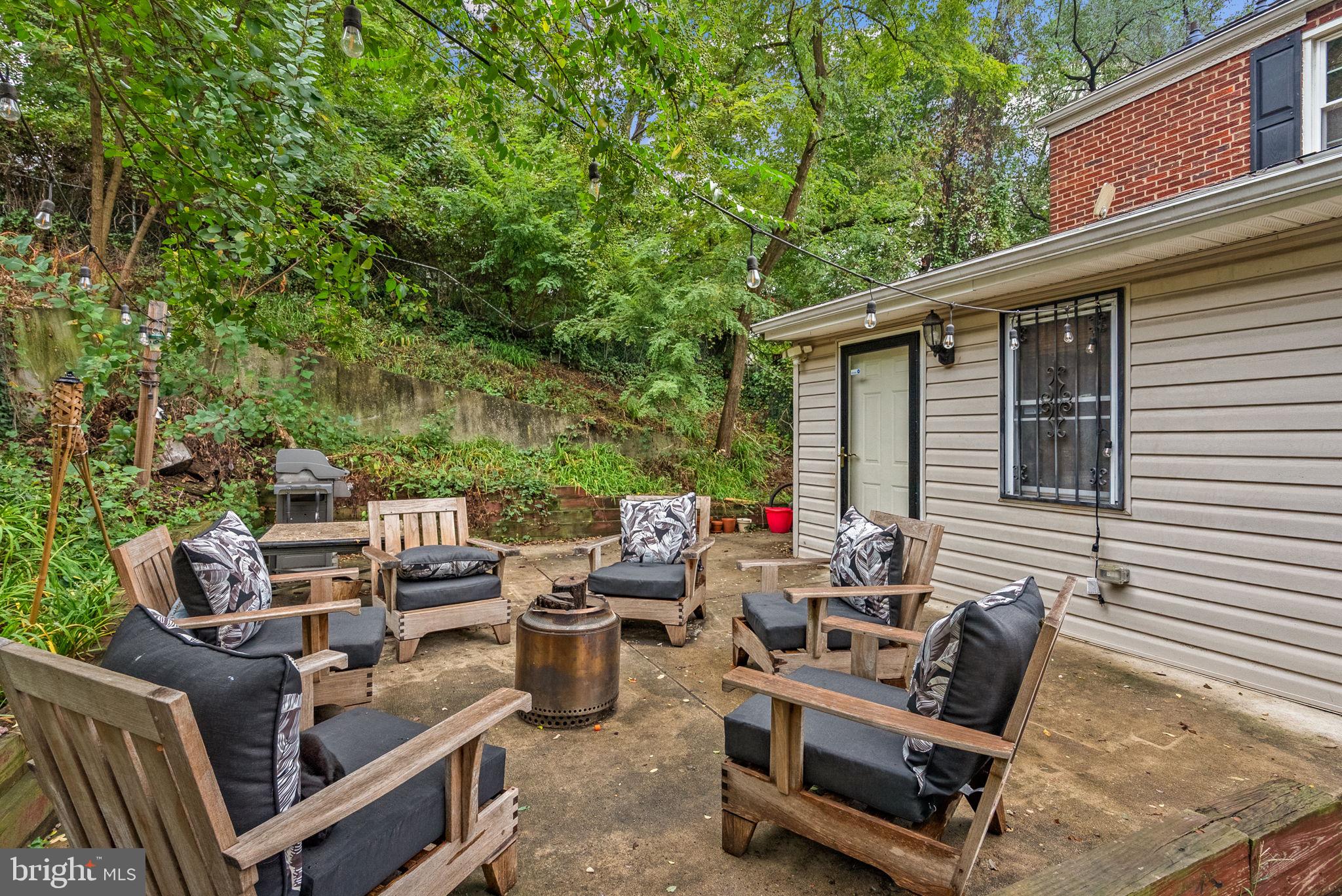 MT RAINIER - Residential