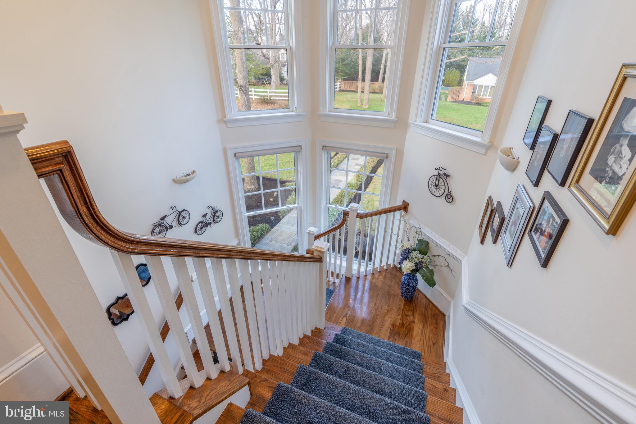 CONGRESSIONAL FOREST - Residential