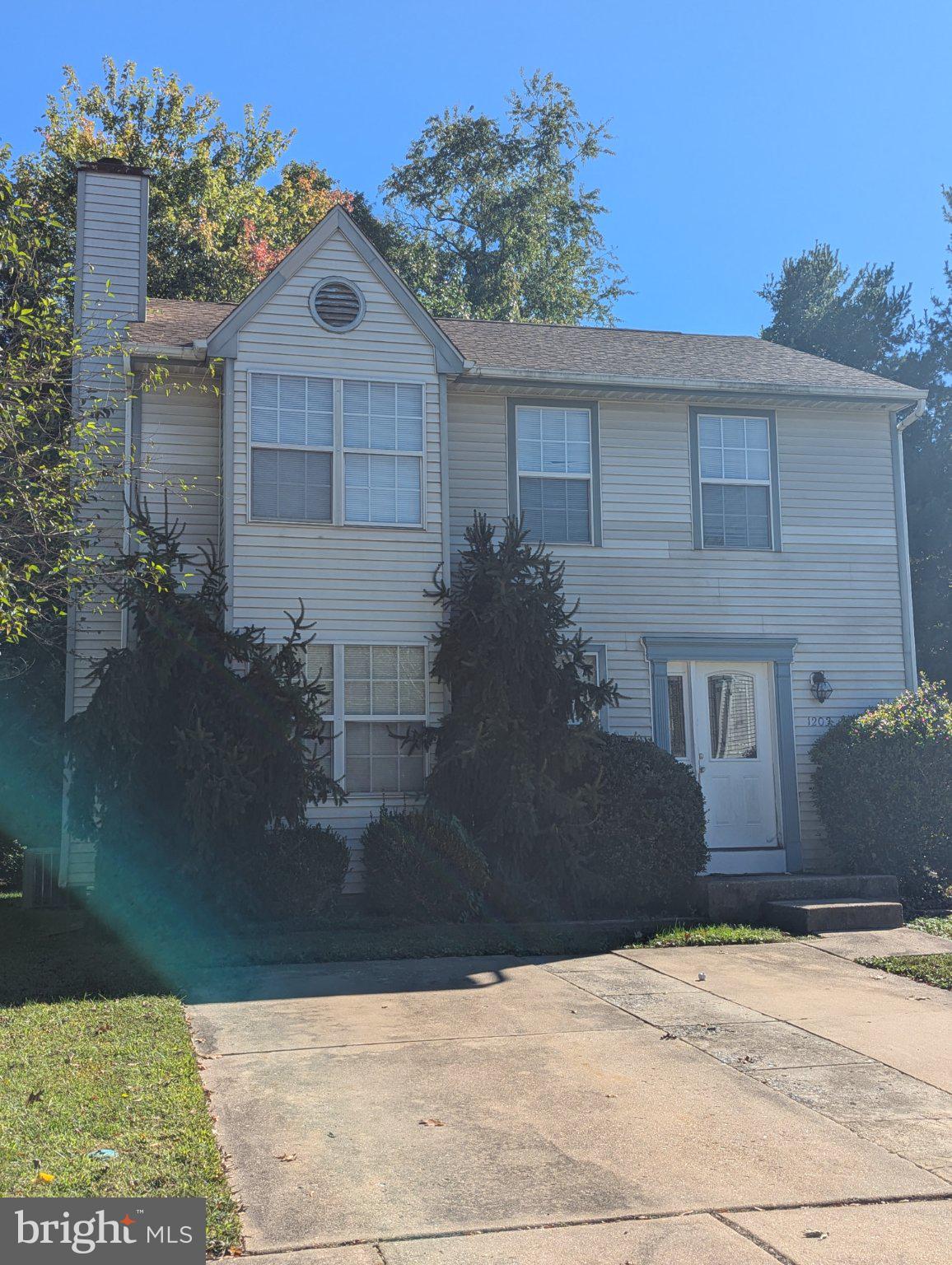 1203 HALLS CHANCE LANE