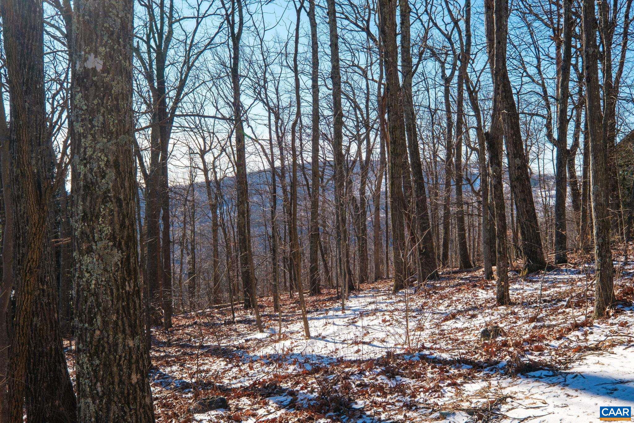 WINTERGREEN RESORT - Land