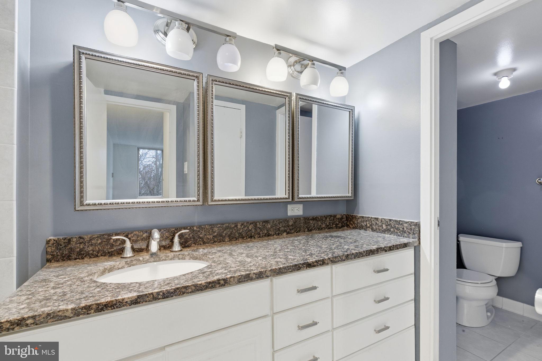 VISTAS AT WASHINGTONIAN WOODS - Residential