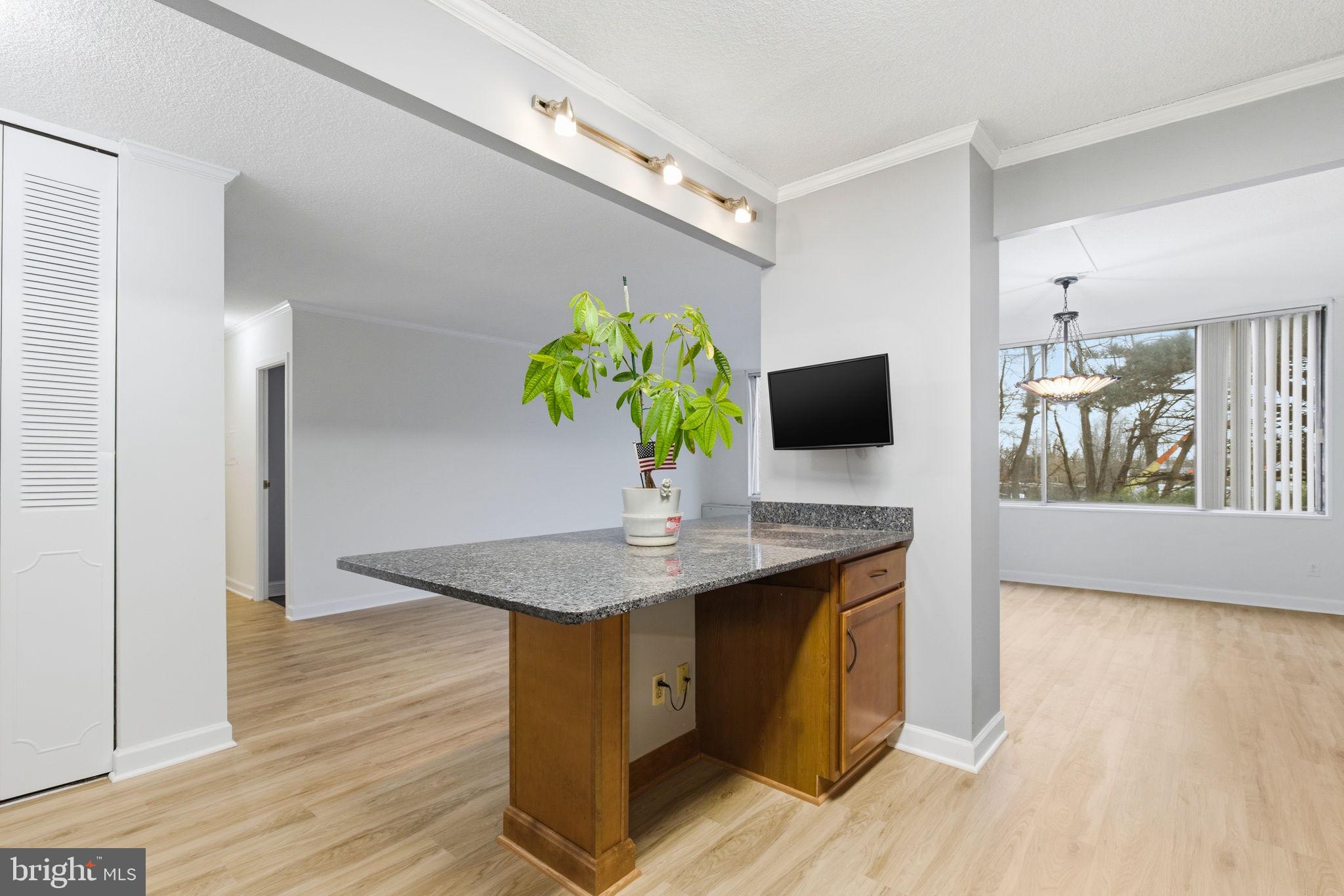 VISTAS AT WASHINGTONIAN WOODS - Residential