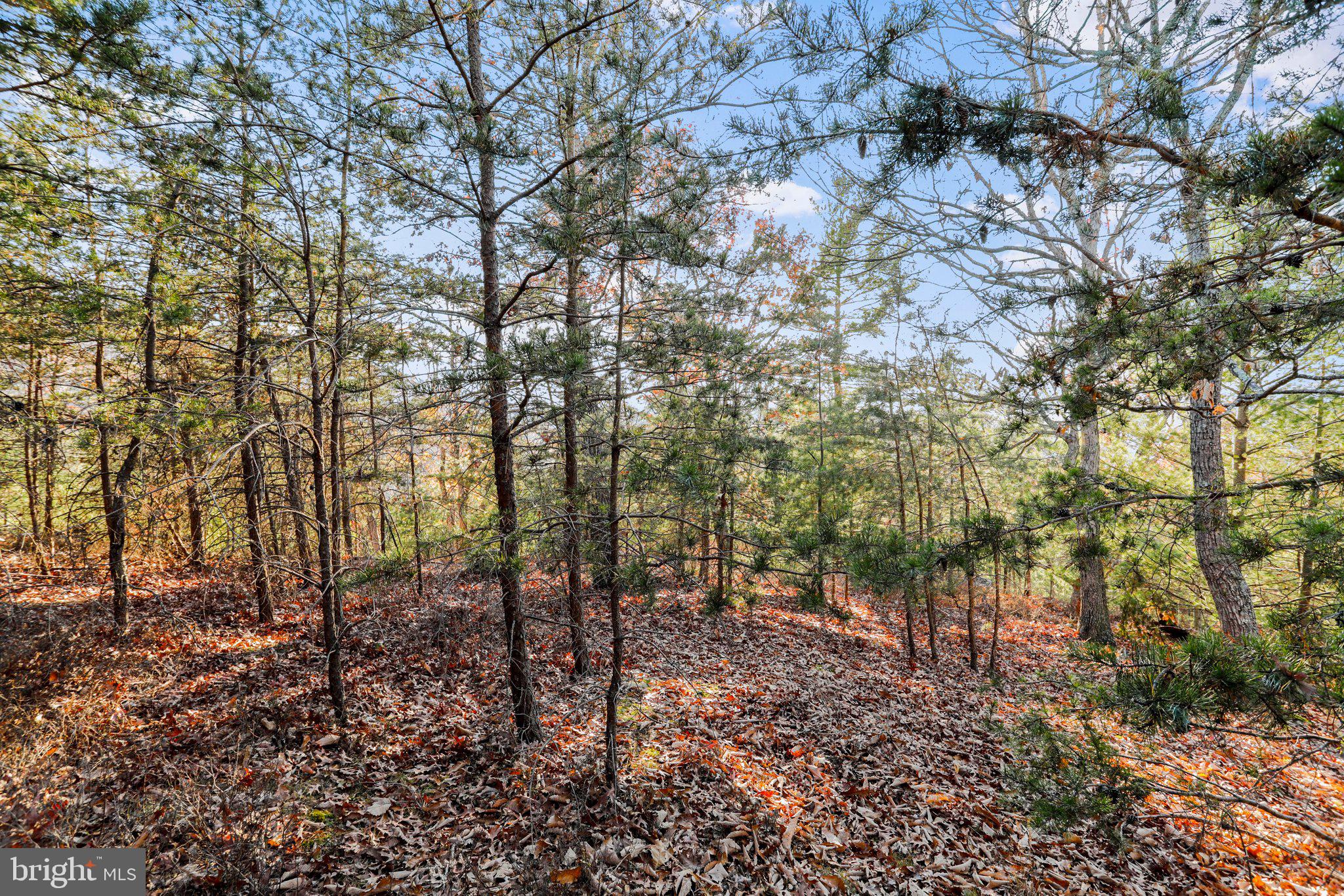 LOST RIVER VALLEY PROPERTY OWNERS ASSOCIATION - Land