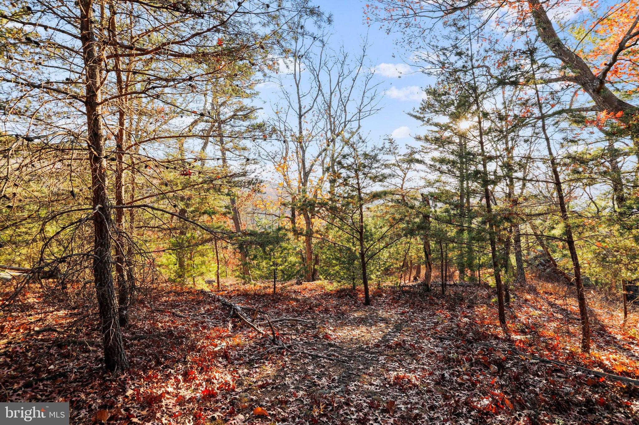 LOST RIVER VALLEY PROPERTY OWNERS ASSOCIATION - Land