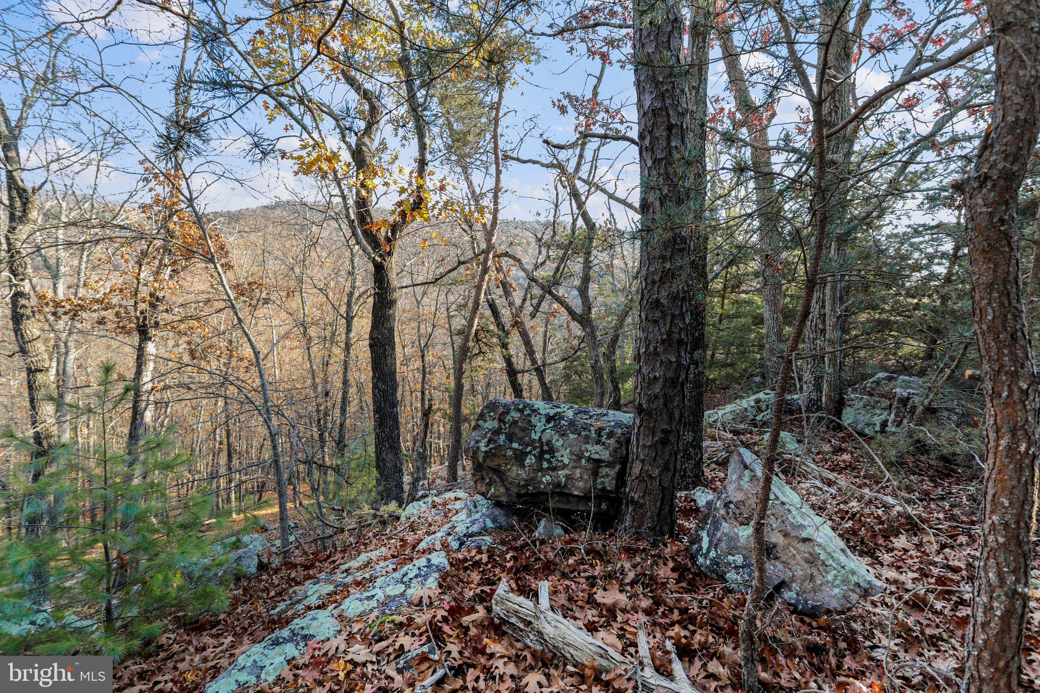 LOST RIVER VALLEY PROPERTY OWNERS ASSOCIATION - Land