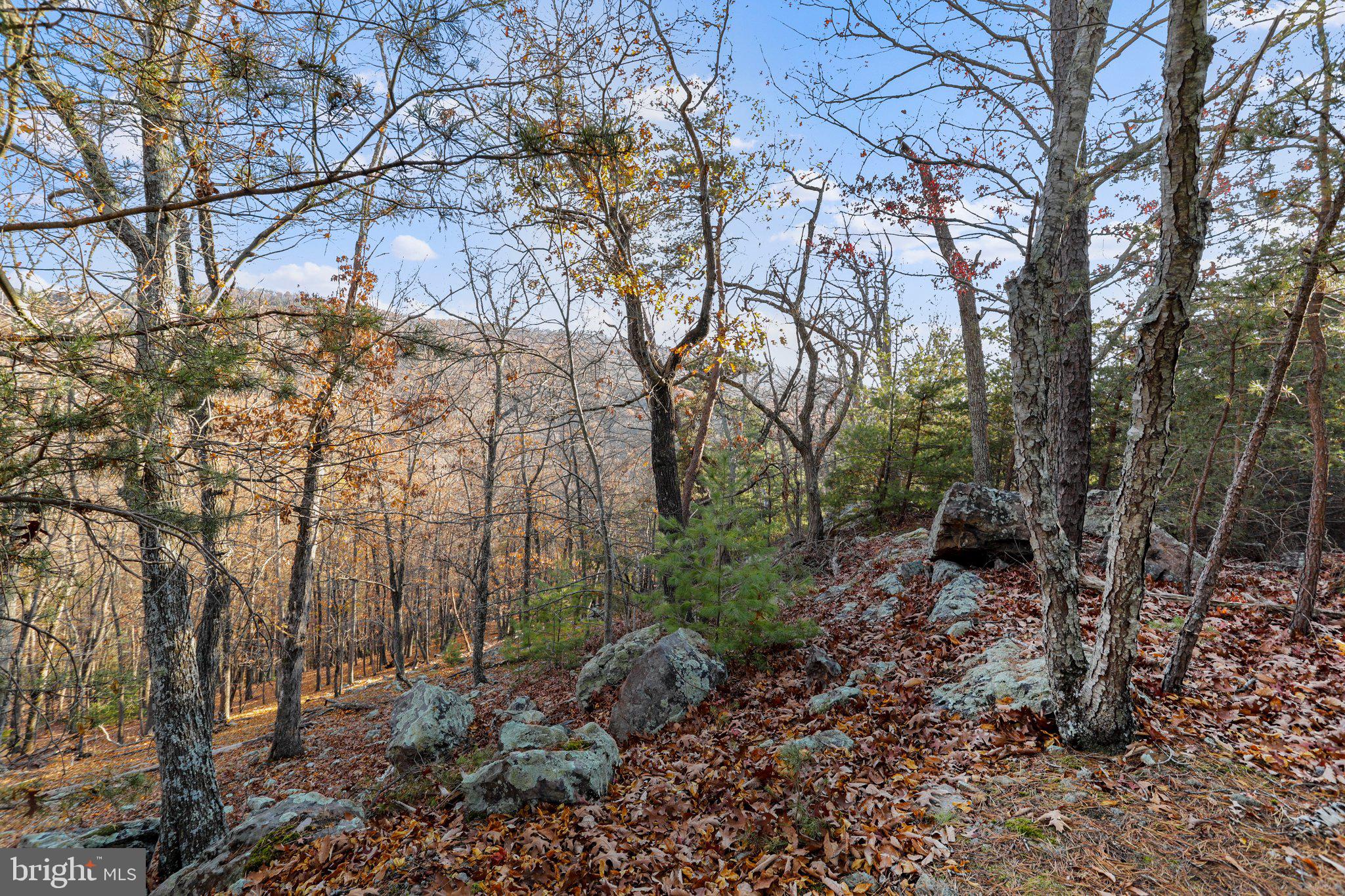 LOST RIVER VALLEY PROPERTY OWNERS ASSOCIATION - Land