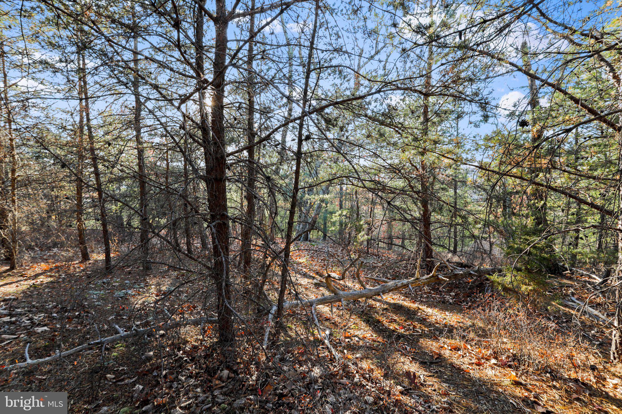 LOST RIVER VALLEY PROPERTY OWNERS ASSOCIATION - Land