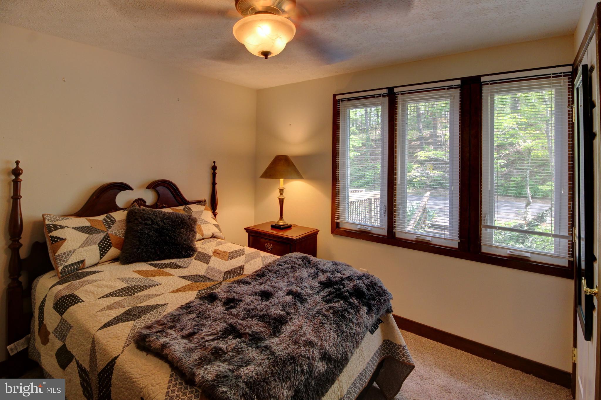 BRYCE  MOUNTAIN  RESORT - Residential