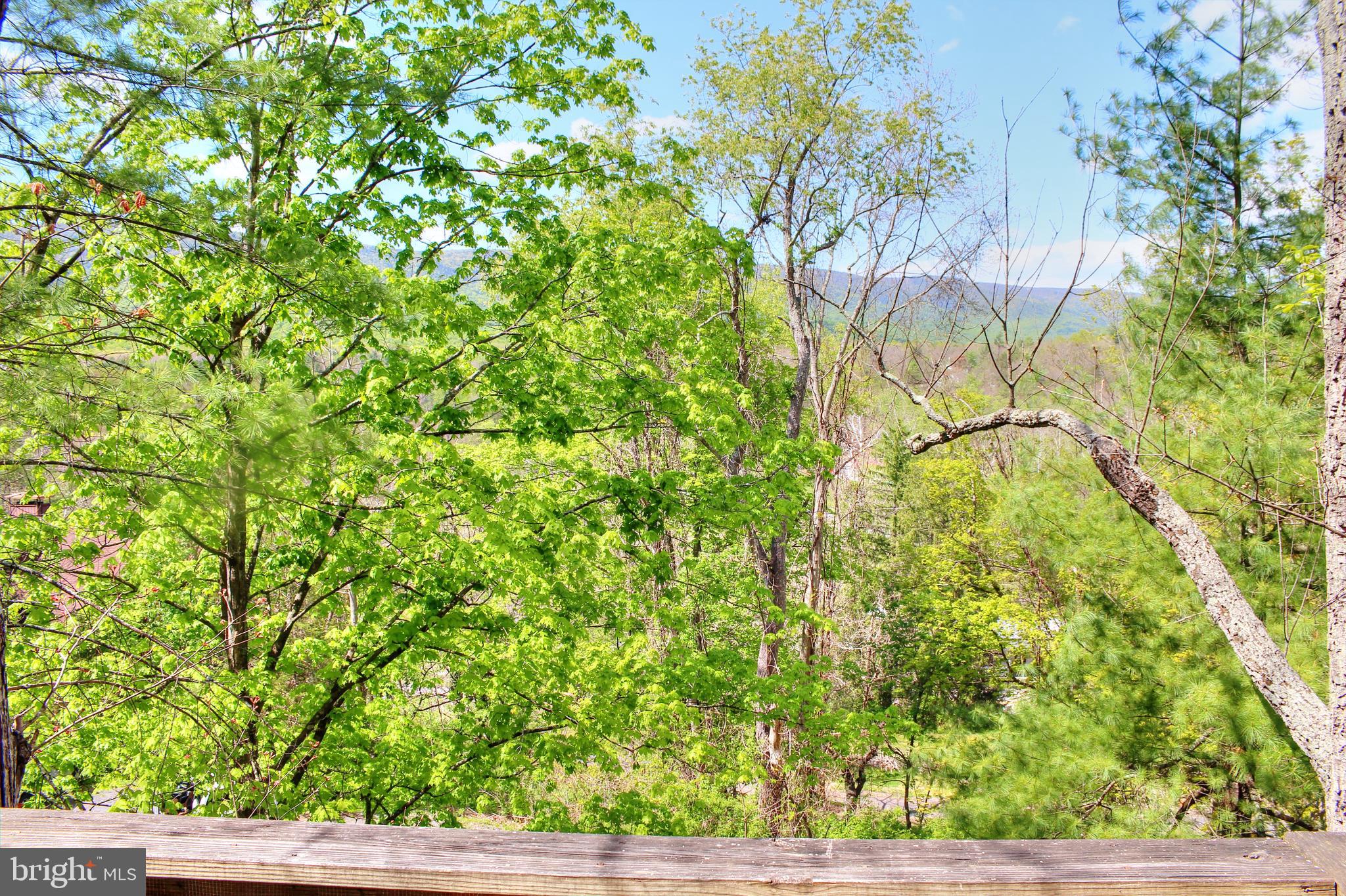 BRYCE  MOUNTAIN  RESORT - Residential