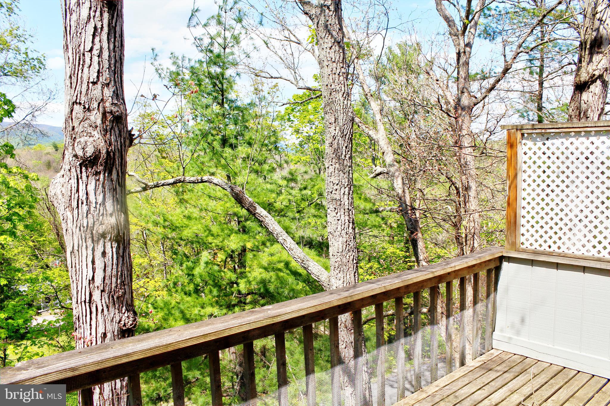 BRYCE  MOUNTAIN  RESORT - Residential