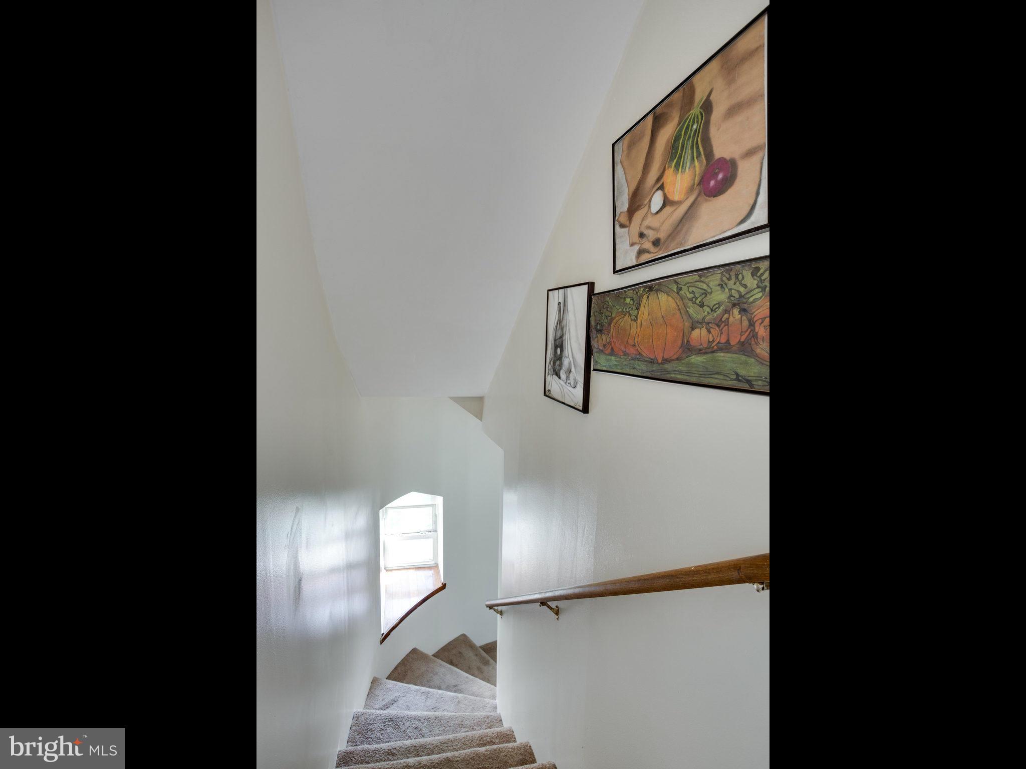 VIOLETVILLE - Residential