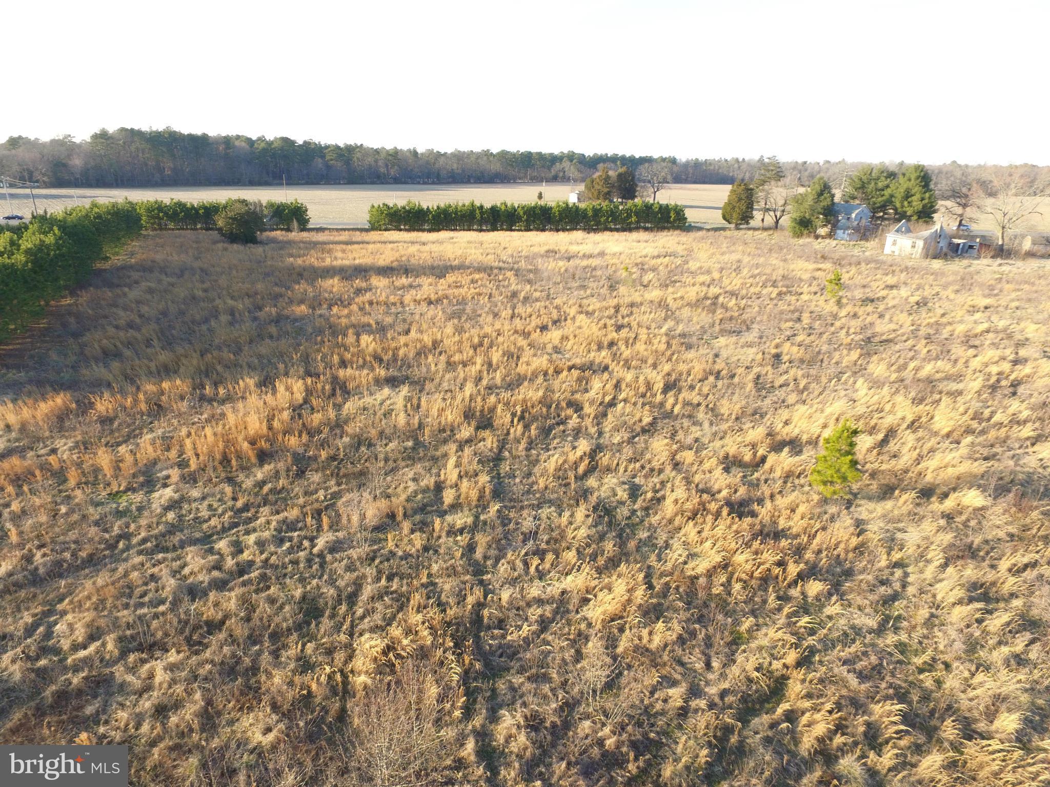 2.935ac Perked Lot In a country setting, ready to build your dream home on. Great surrounding properties. Very Close to Denton/404 shopping center/walmart. Lot #1 on Plat