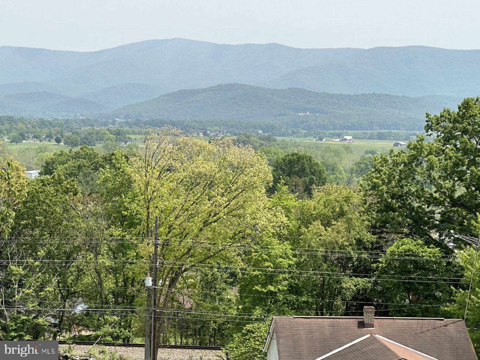 FOREST HILLS - Residential