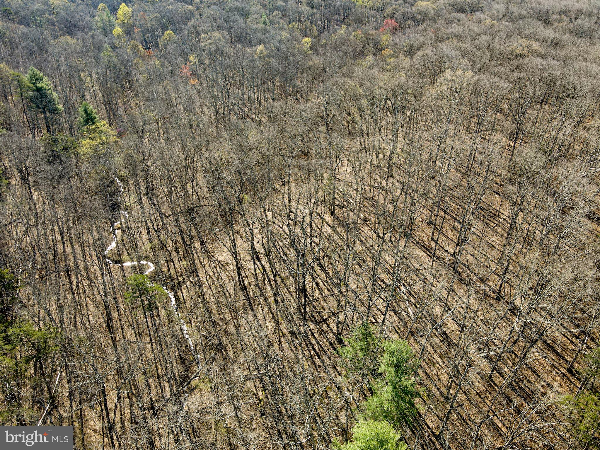 FOXWOOD KNOLLS - Land