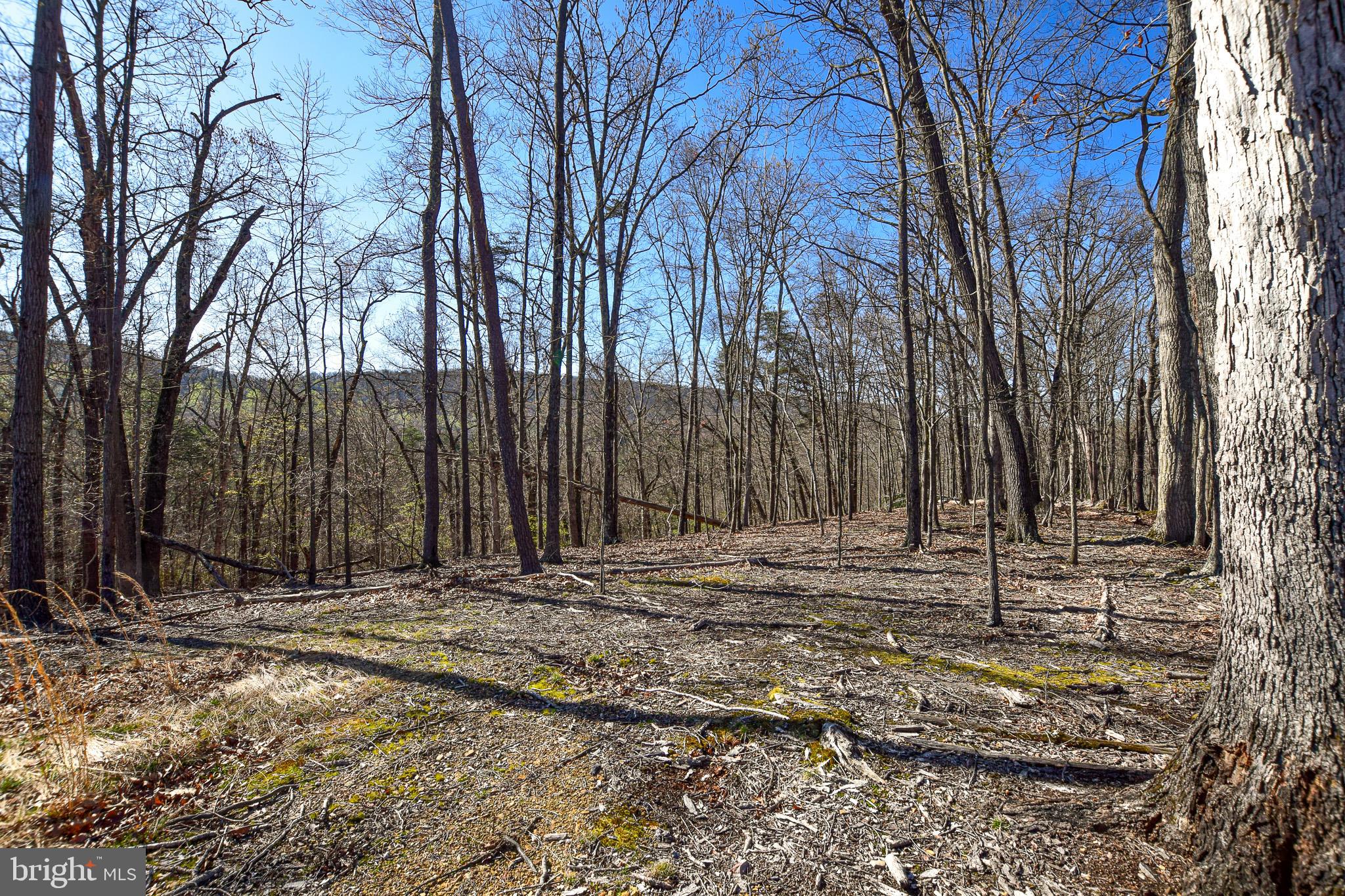 FOXWOOD KNOLLS - Land