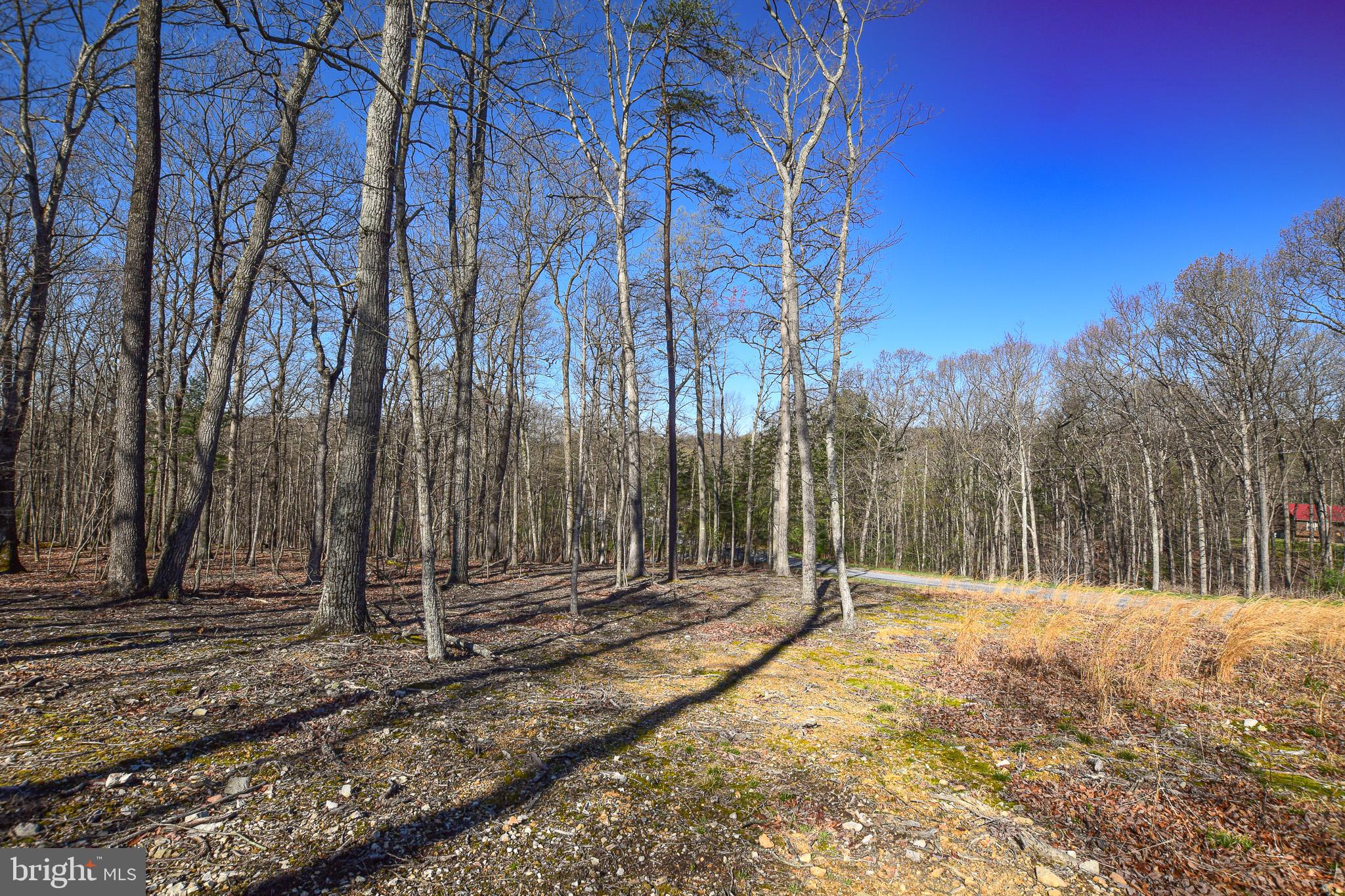 FOXWOOD KNOLLS - Land