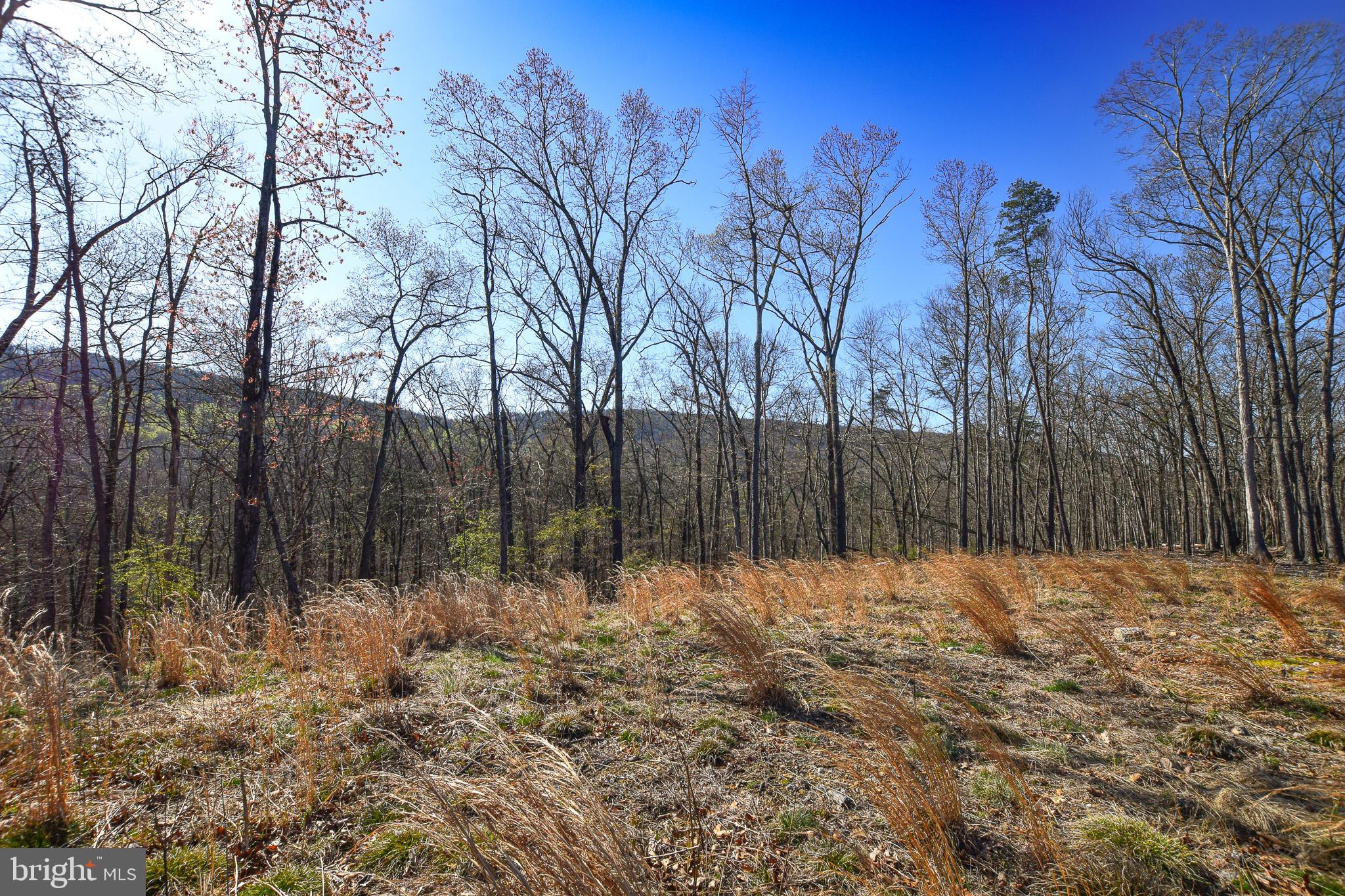 FOXWOOD KNOLLS - Land