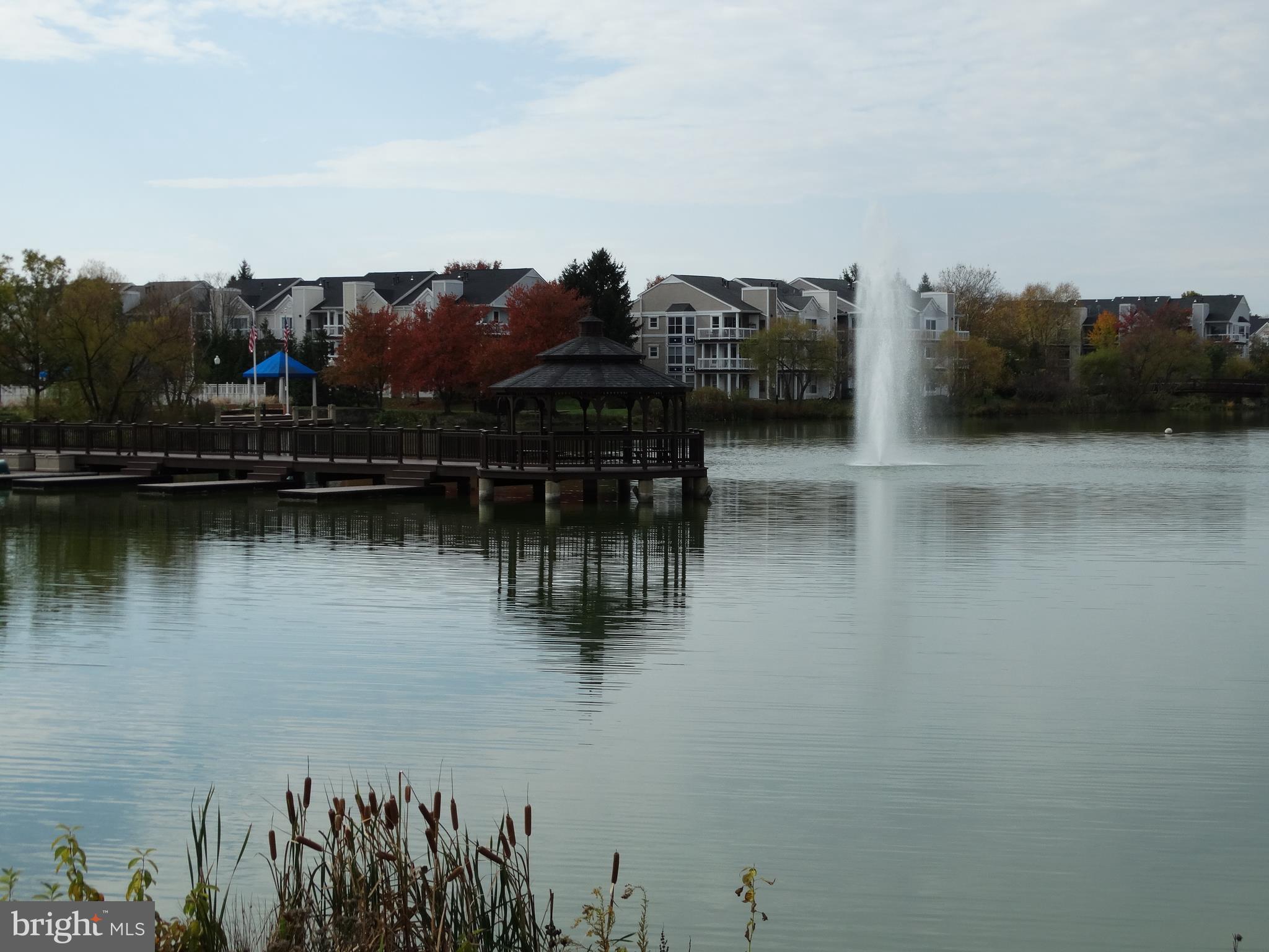 ASHBURN VILLAGE - Residential