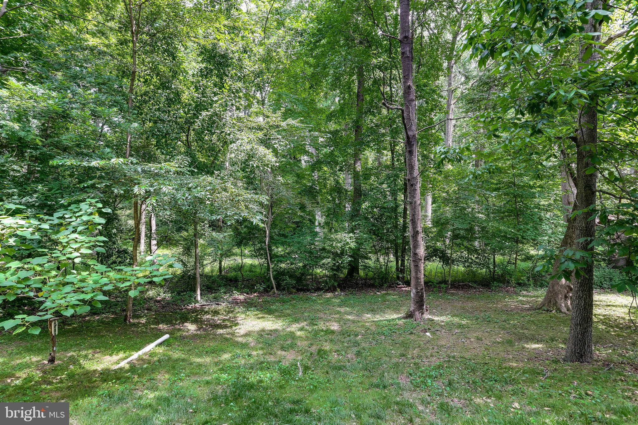 DEERING WOODS - Residential