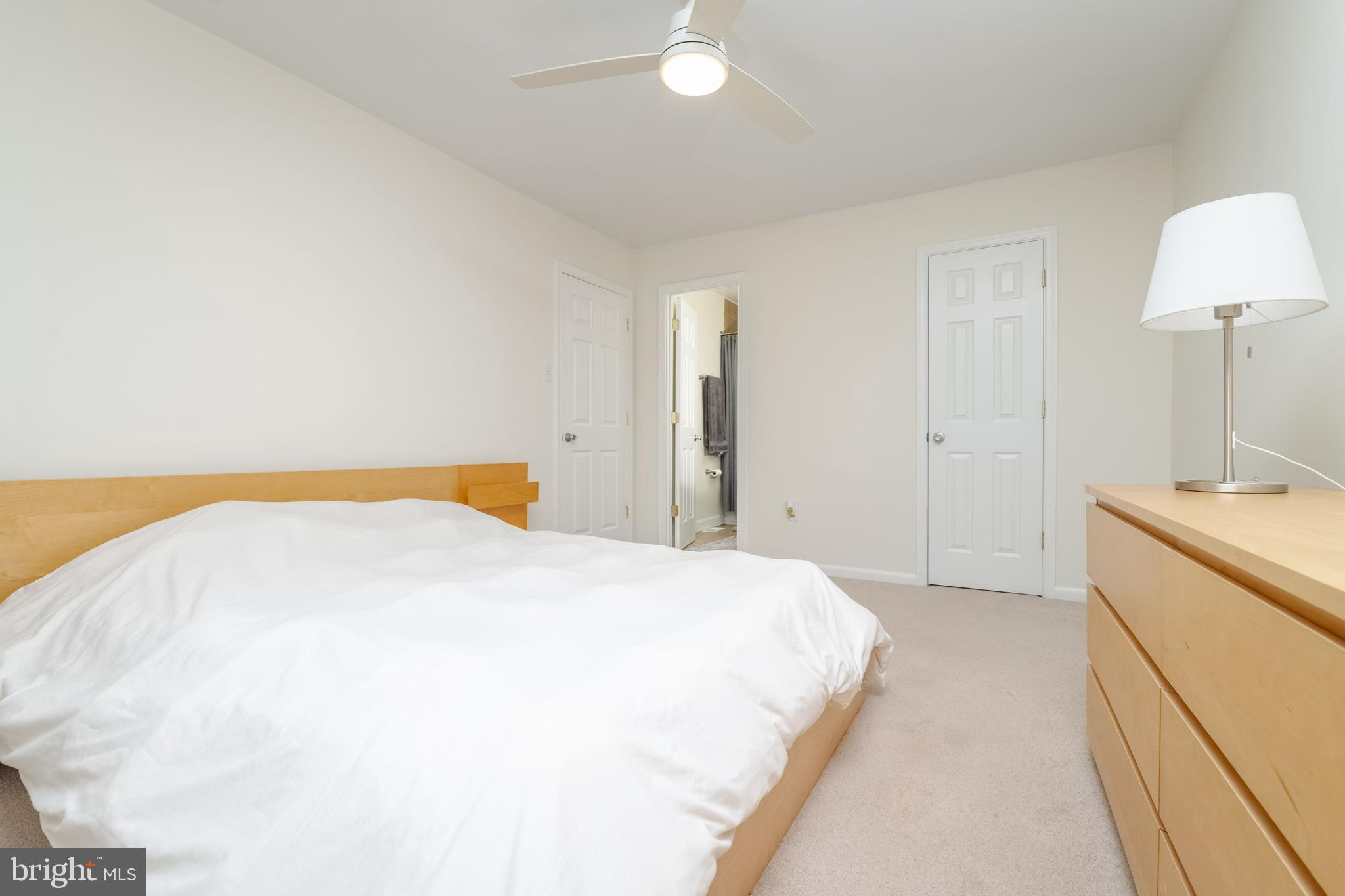 CINNAMON TREE - Residential