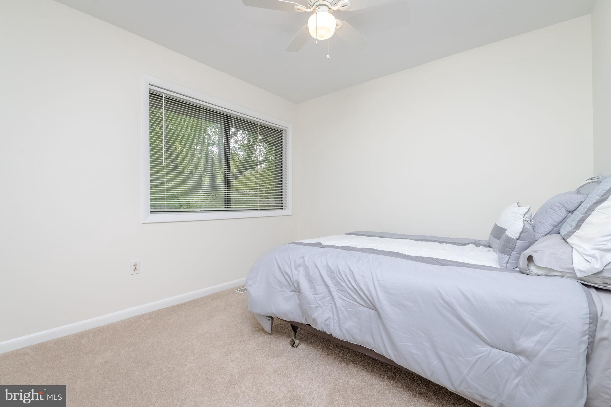 CINNAMON TREE - Residential