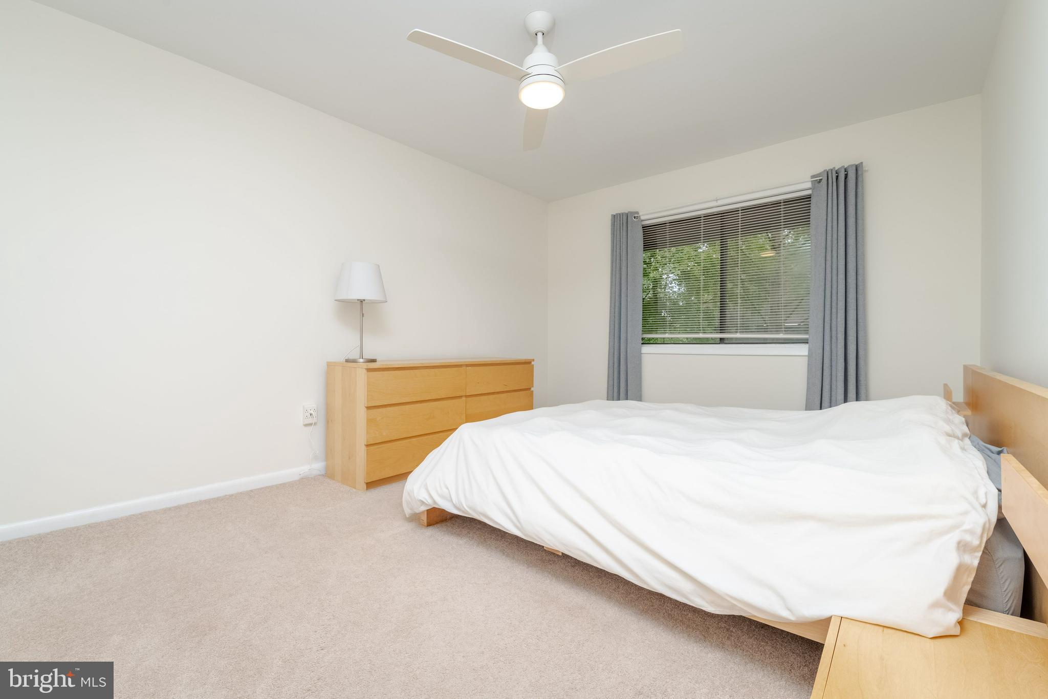 CINNAMON TREE - Residential