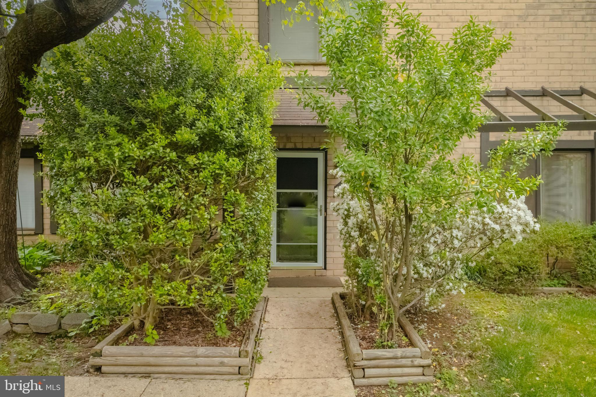 CINNAMON TREE - Residential