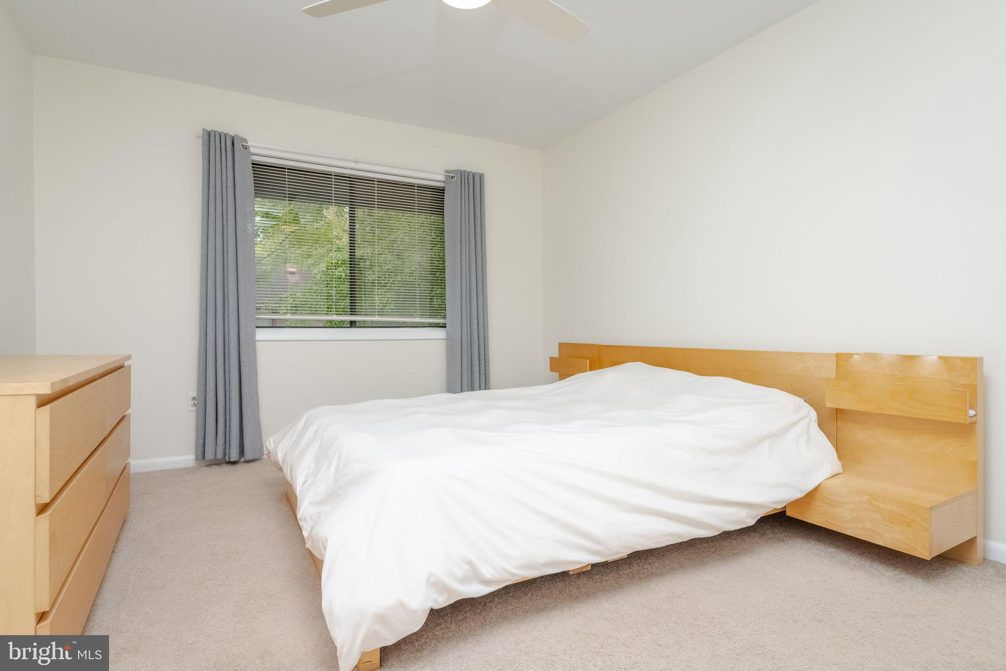 CINNAMON TREE - Residential